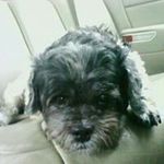 Marsha Beam Waderich - @beamwaderich - Instagram