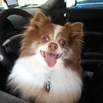Marsha Bell Wetmiller - @marshawetmiller - Instagram