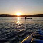 Marcia Bingham - @marcia.bingham.01 - Instagram
