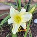 Marsha Wills Blevins - Facebook