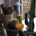 Marsha Bond - Facebook