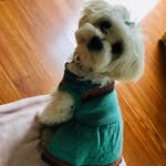 Marsha Bowles Lobacz - @kanawha46 - Instagram