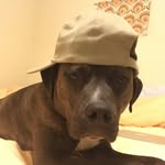 Marshal Bowles - @marshalbowles - Instagram