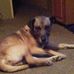 Marsha Bryan - Facebook