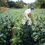 Marsha Bryan - @firstblessfarm - Instagram