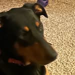Marsha Burchett - @marsha.burchett - Instagram