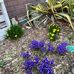 Marsha Cecil - Facebook