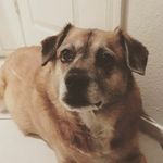 Marsha Puckett Chavez - @pattyloves_essentialoils - Instagram