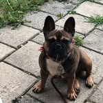 Marsha Custers - @marshacusters - Instagram