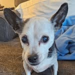 Marcia Back DeWitt - @sosh63 - Instagram