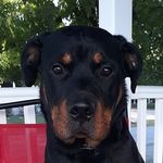 marshal dewitt - @marshaldewitt - Instagram