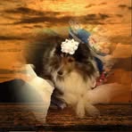 Marsha Dougherty - Facebook