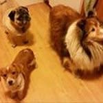 Marsha Dow Duffy - @marshaduffy - Instagram