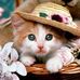 Marsha Dowling - Facebook