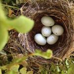 Marsha Eldridge - @eldridgemarsha - Instagram
