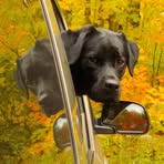 Marsha Erickson - Facebook