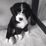 Marshall Erickson McCarty - @marshallericksonmccarty - Instagram