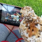 Marsha Estes - @marshaestes - Instagram