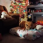 Marsha Field - Facebook