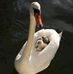 Marcia Flint - Facebook