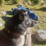 Marshall flint - @marshall.flint - Instagram