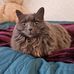 Maria Fredriksson - Facebook