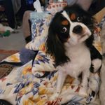 Marsha Garner - @dragmarsha - Instagram