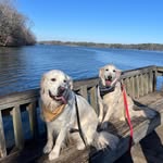Marsha Gentry Koenig - @marsha_three - Instagram