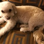 Marcia Gerber - @gerber.marcia - Instagram