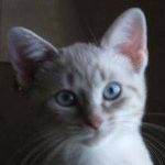 Marsha Holt - @royalsfan66 - Instagram