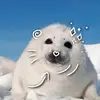 °¬°~harp seals fan!! ~°¬° - @marshakeyarra08 - TikTok