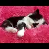 Marsha_key - @marsha_key - TikTok