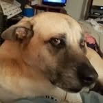 Marcia Knapp - @mknapp89508 - Instagram