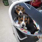 Marsha Larson - Facebook
