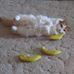 Marsh Leaf - Facebook