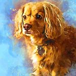 Marsha Lytle - @lytleml - Instagram