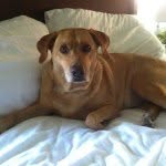 Marsha Masters Hughes - @mhughes57 - Instagram