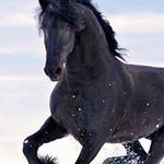 Marsha McDaniel - @mcdaniel.marsha - Instagram