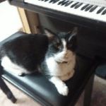 Marsha McDaniel - @sunshinestartwinkle73 - Instagram
