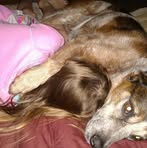 Marsha McDaniel - Facebook