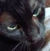 Marsha Burns McDevitt - Facebook