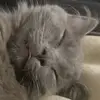 MarshallLeeMcGee - @marshallleemcgee - TikTok