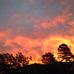 Marsha Moss - Facebook