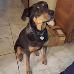 Marsha Moyer - @marsha.moyer.56 - Instagram