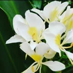 Marcia Mueller - @marciam.ver - Instagram