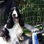 Marsha Mueller - @marsha.mueller1 - Instagram