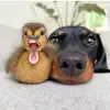 Marshy - @marshaness - TikTok