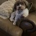 Marsha Trindel Noller - Facebook