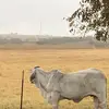 marshapatek0 - @marsha.patek - TikTok