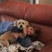 Marcia Potts - Facebook
